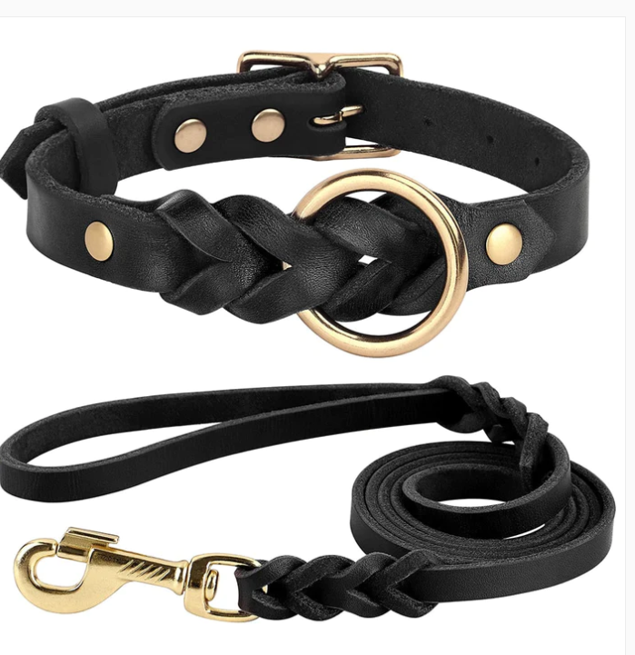 What is Dog Collar and Leash Set