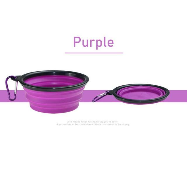 dog bowl with lid purple