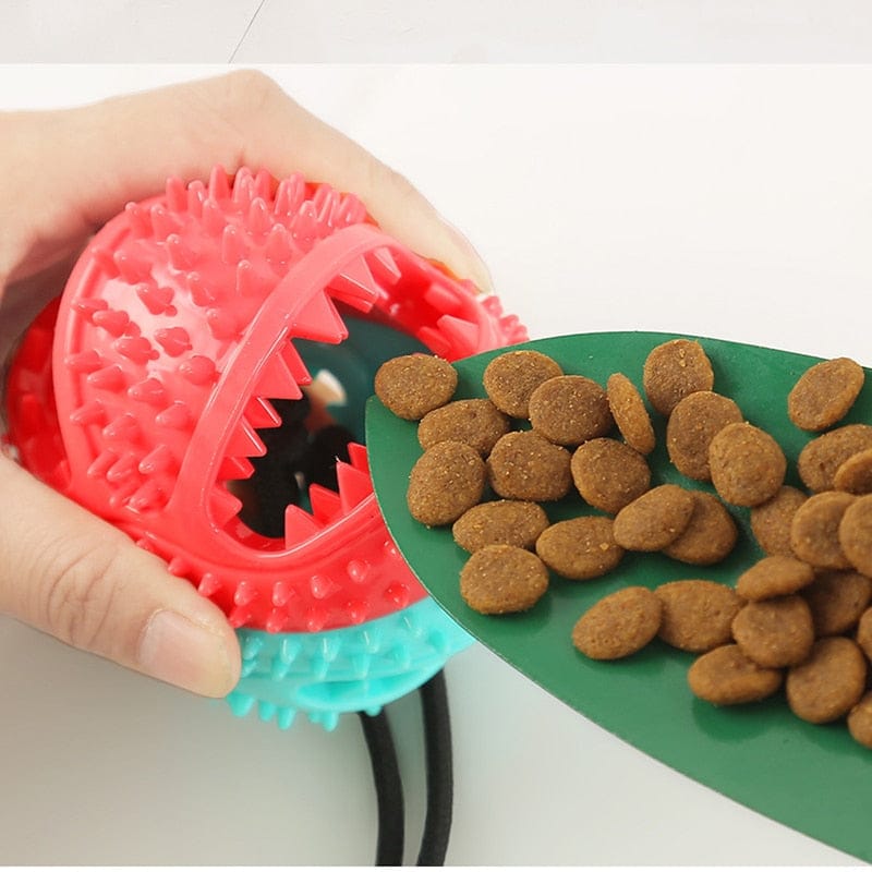 suction cup toy for dogs