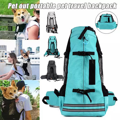 dog carrying backpack