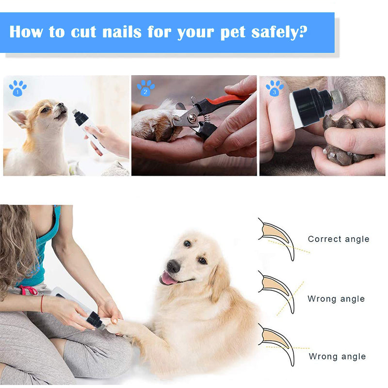 nail grinder for dogs